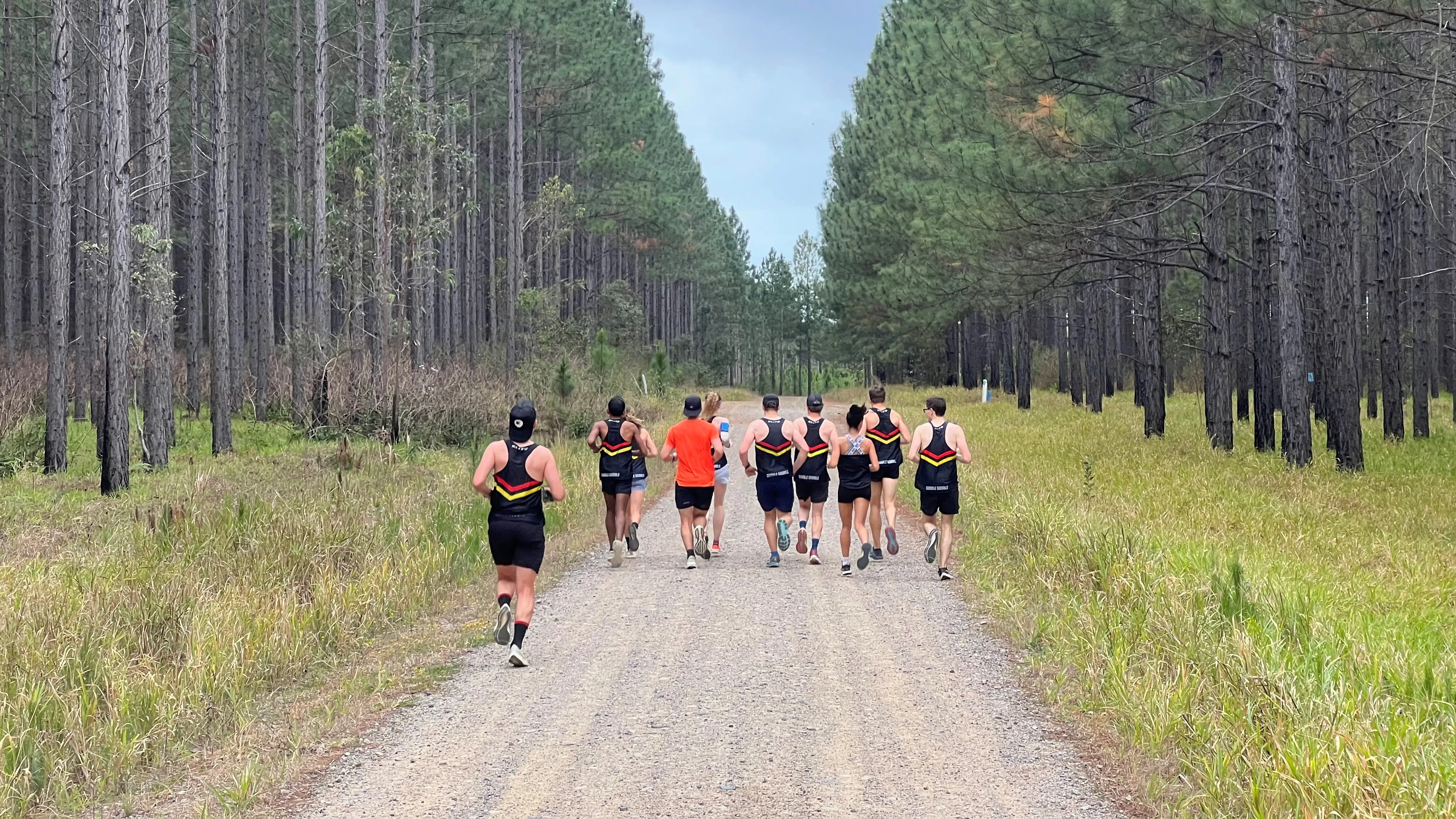 Club members on a trail run in Beerburrum East State Forest, September 2023