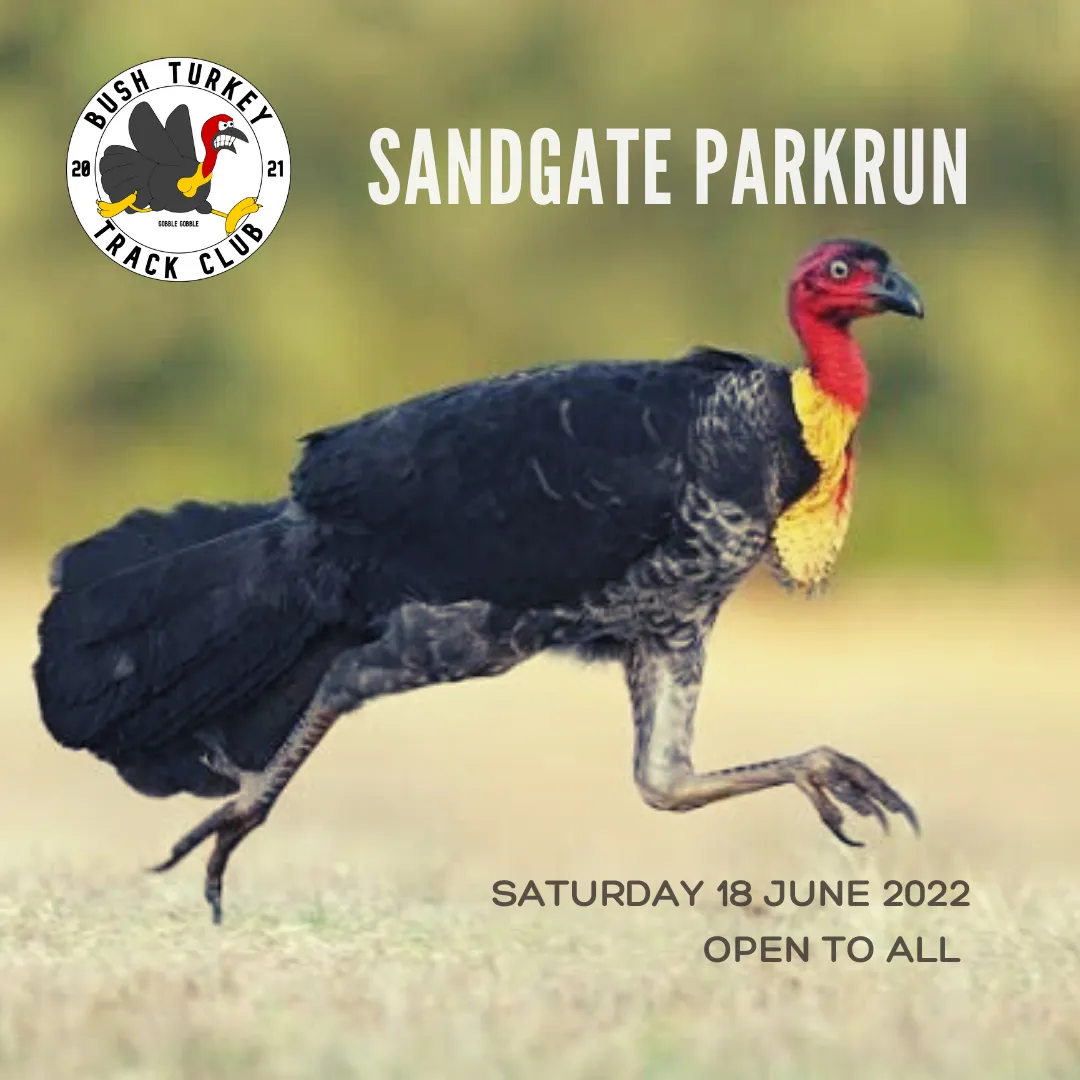 Sandgate parkrun Speed Week poster with a running bush turkey, Saturday 18 June 2022