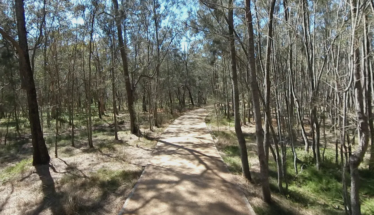 Gravel trail through the trees at Boondall Wetlands