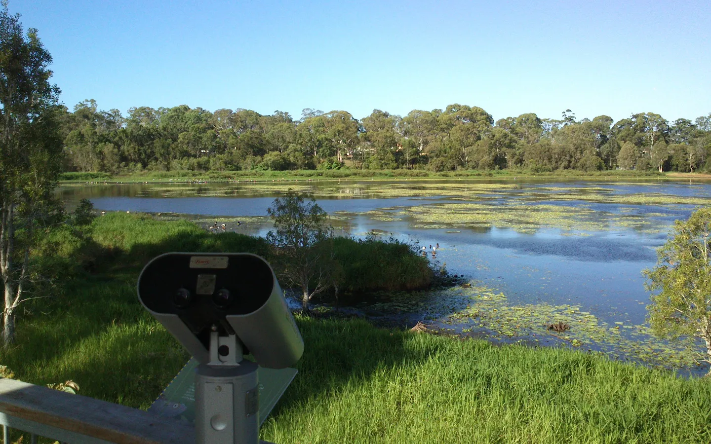 Dowse Lagoon in Sandgate on a sunny morning