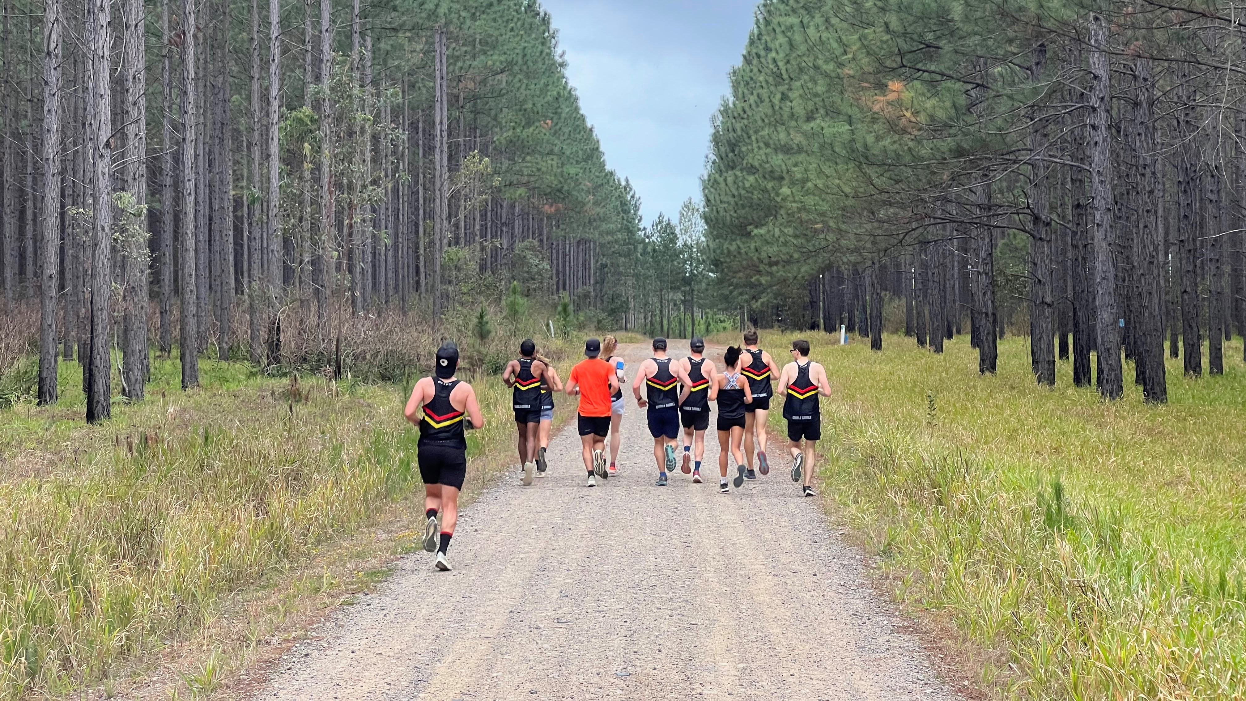 Beerburrum East State Forest run September 2023